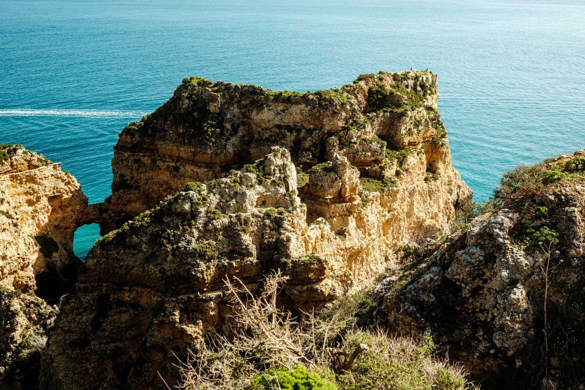 Dramatic view of Algarve cliffs with lush greenery against a vibrant blue ocean backdrop.